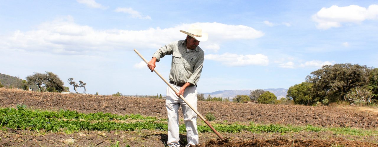 One of the farmers in Huasca de Ocampo, Mexico